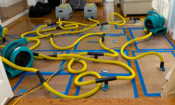Professional Crawl Space Water Removal technician working in Montgomery, IN